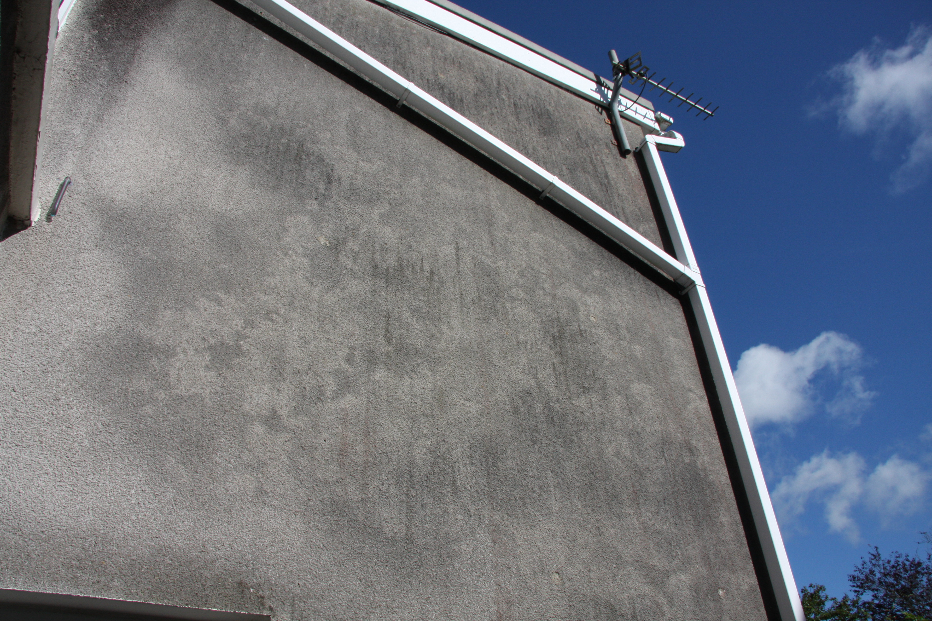 Cleaning of a rough plastered external wall